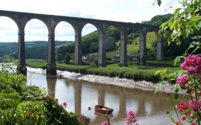 Tamar Valley Events: The Calstock Giant